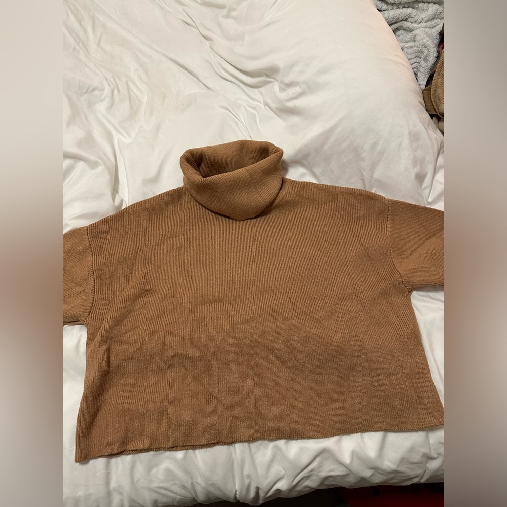 ZARA KNIT TURTLE NECK